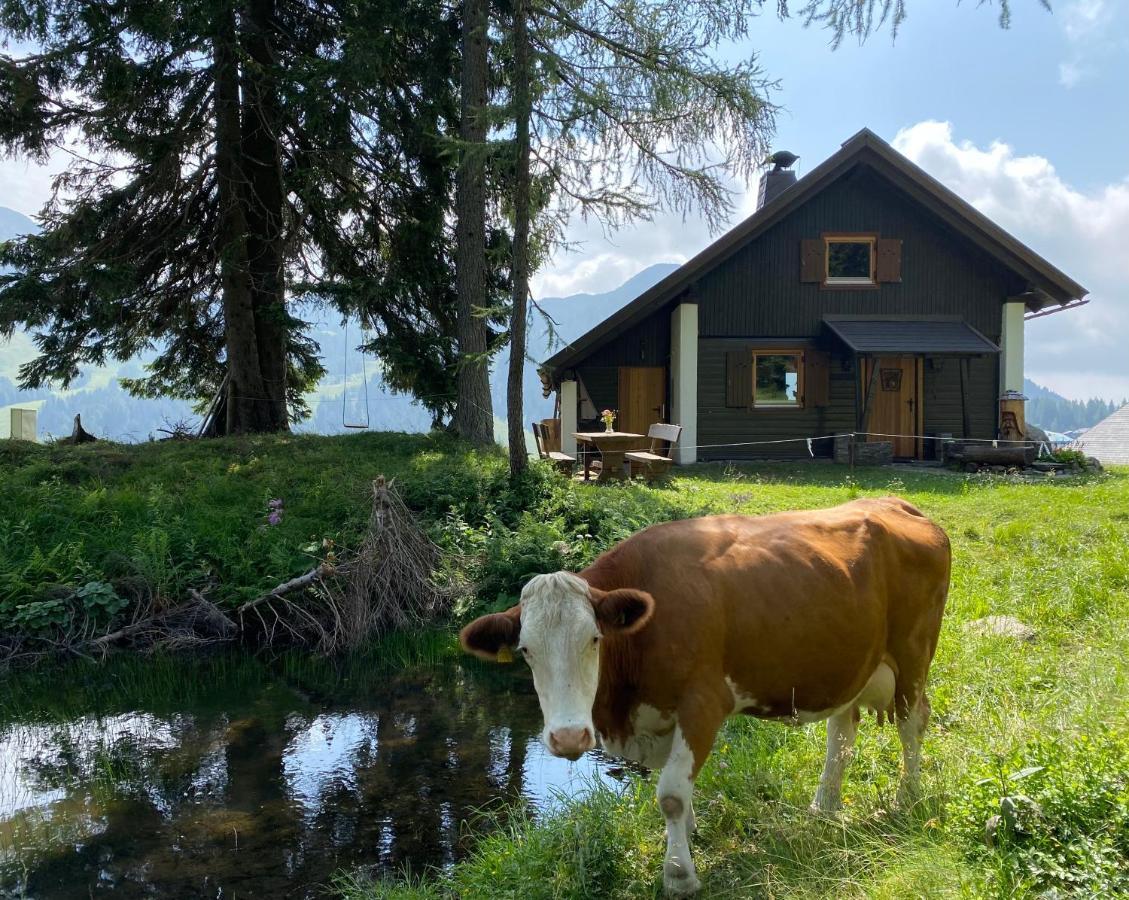 Gemuetliche Huette In Den Bergen Villa Sonnenalpe Nassfeld Buitenkant foto