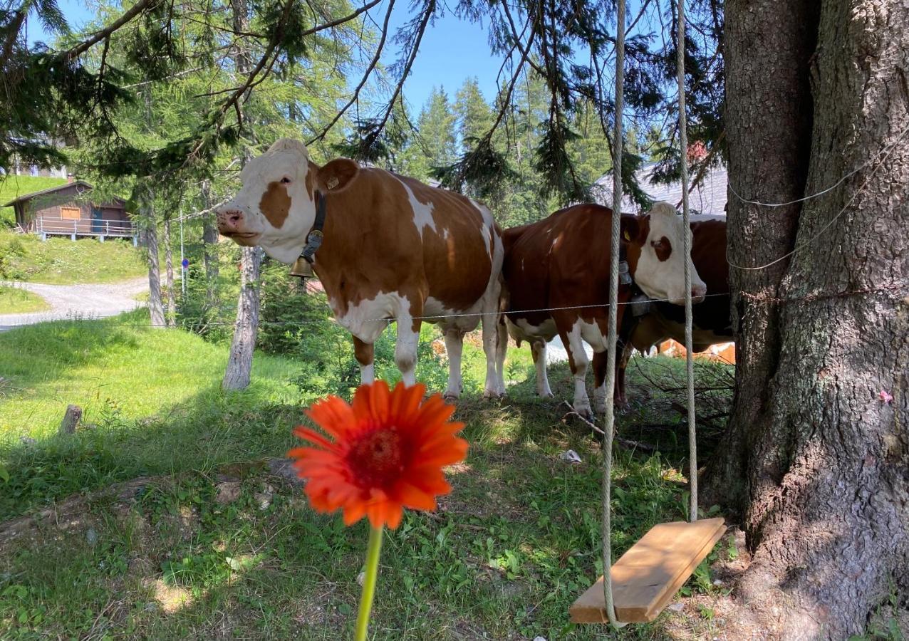Gemuetliche Huette In Den Bergen Villa Sonnenalpe Nassfeld Buitenkant foto