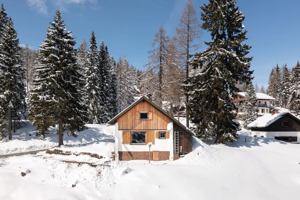 Gemuetliche Huette In Den Bergen Villa Sonnenalpe Nassfeld Buitenkant foto