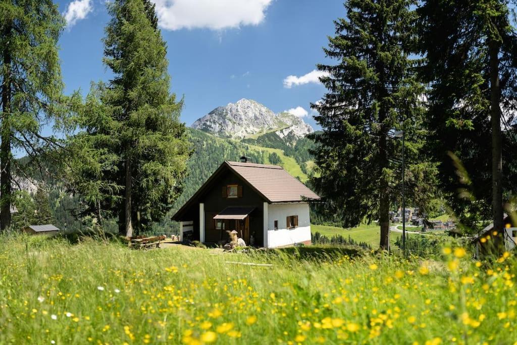 Gemuetliche Huette In Den Bergen Villa Sonnenalpe Nassfeld Buitenkant foto